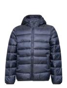 Hooded Jacket Navy Champion