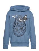 Lwstorm 105 - Sweat Hoodie Blue LEGO Kidswear