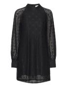 Texas Lace Dress Black Noella