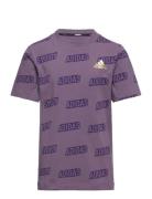Jb Bluv Q4Aop T Purple Adidas Sportswear