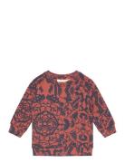 Sgbalexi Papertree L_S Sweatshirt Hl Orange Soft Gallery