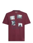 Printed T-Shirt Burgundy Tom Tailor