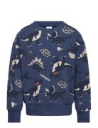 Sweater Dino Aop Blue Lindex