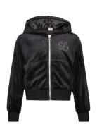 Sweater Zip Hood Velour Black Lindex