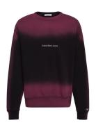 Hyper Real Spray Crewneck Patterned Calvin Klein