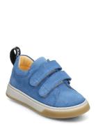 Shoes - Flat - With Velcro Blue ANGULUS