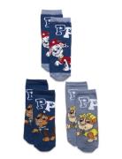 Nmmjygva Pawpatrol 3P Sock Cplg Patterned Name It