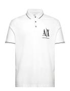 Polo White Armani Exchange