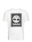 Short Sleeve Tee White Timberland