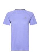 Odlo T-Shirt Crew Neck S/S Essential Seamless Purple Odlo