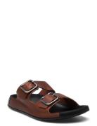 Cozmo M Brown ECCO