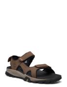 Backstrap Sandal Brown Timberland