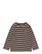 T-Shirt Long-Sleeve Brown Sofie Schnoor Baby And Kids