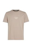 Optic Line Logo T-Shirt Beige Calvin Klein