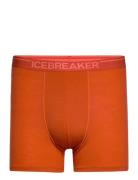Men Anatomica Boxers Orange Icebreaker