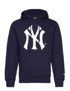 New York Yankees Primary Logo Graphic Hoodie Navy Fanatics