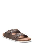 Spectra Suede M Brown Exani