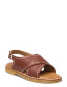 Sandals - Flat - Open Toe - Op Brown ANGULUS