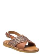 Sandals - Flat - Open Toe - Op Brown ANGULUS