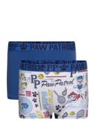 Boxer Patterned Paw Patrol