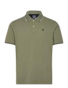 Polo Green Champion