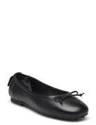 Mihay Ballerina Black GANT