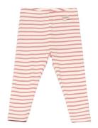 Legging Modal Striped Pink Petit Piao