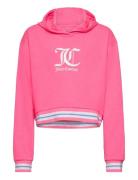 Juicy Rib Tipping Oth Hoodie Lb Pink Juicy Couture