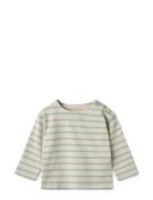 Farah Baby Stripe Sweatshirt Beige Liewood