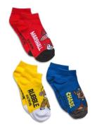 Socks Blue Paw Patrol