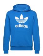 Trefoil Hoodie Blue Adidas Originals