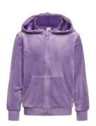 Hoodjacket Velour Purple Lindex