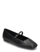 Ezri Ballerinas Black Steve Madden