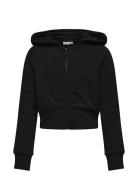 Kogbella Life L/S Zip Hood Short Ub Swt Black Kids Only