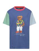 Polo Bear Color-Blocked Cotton Tee Blue Ralph Lauren Kids