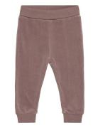 Pants Velour Brown Fixoni