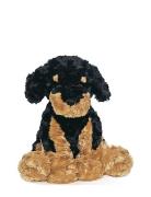 Dog, Brownblack Black Teddykompaniet
