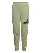 U Bl Pant Khaki Adidas Sportswear