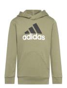 U Bl 2 Hoodie Khaki Adidas Sportswear