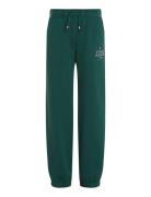 Th Logo Puff Print Sweatpants Green Tommy Hilfiger