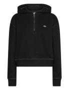 Oakport 1/4 Zip Hoodie W Black Dickies