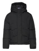 Jjworld Puffer Jacket Mni Black Jack & J S