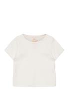 Rib Jersey T-Shirt Cream Copenhagen Colors