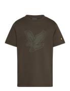 Graphic Eagle T-Shirt Green Lyle & Scott