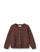 Knit Cardigan Maia Burgundy Wheat