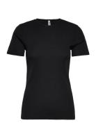 Top Merino Wool Ss Black Lindex