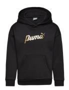 Ess+ Script Metallic Hoodie Fl G Black PUMA