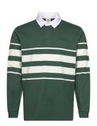 Union Rugby Carter Stripe Bist Green LEVI´S Men