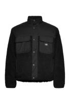 Pinesdale Jacket Black Dickies