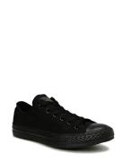 C Taylor A/S Ox Blk Mono Black Converse